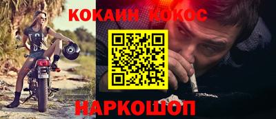 дмт Кингисепп