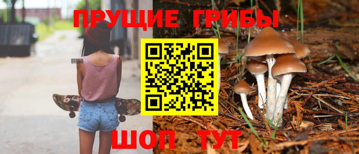 Псилоцибиновые грибы Psilocybine cubensis  Вход с VPN  Чернушка 